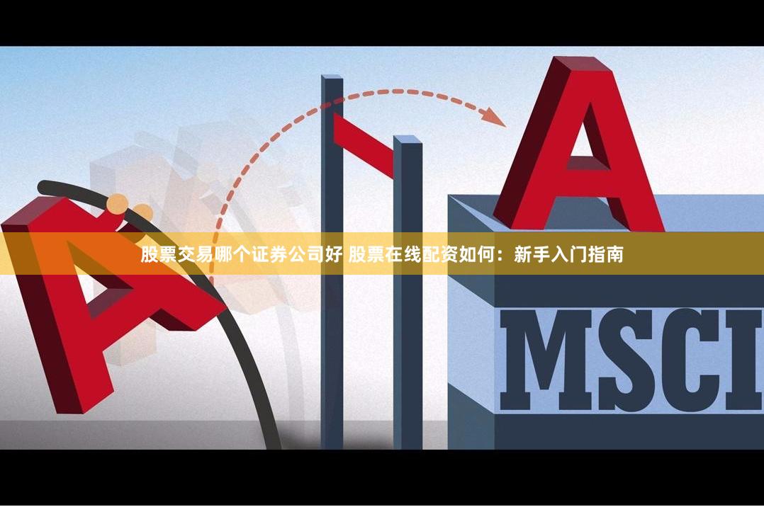 股票交易哪个证券公司好 股票在线配资如何：新手入门指南